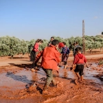 Дети играют в образовательную игру-ферму для развития ответственности