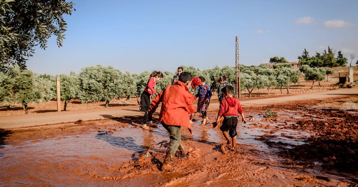 Дети играют в образовательную игру-ферму для развития ответственности